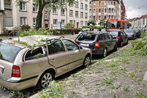 Feuerwehr_Baum   030.jpg